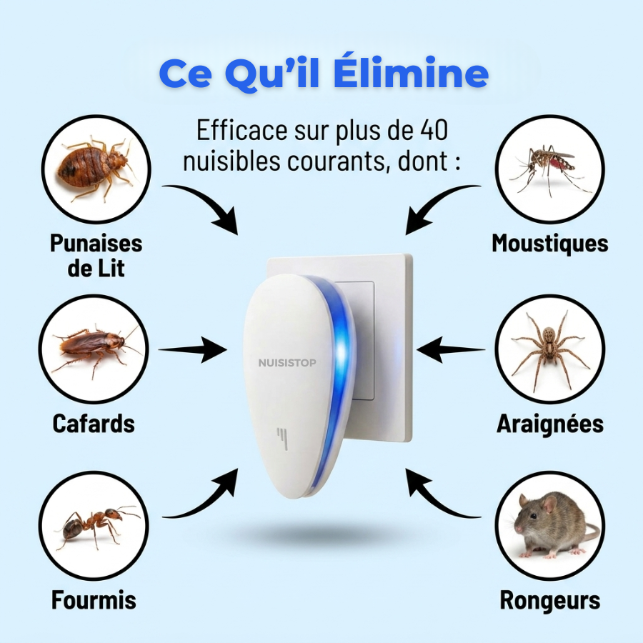 Nuisistop™ Retrouvez votre maison